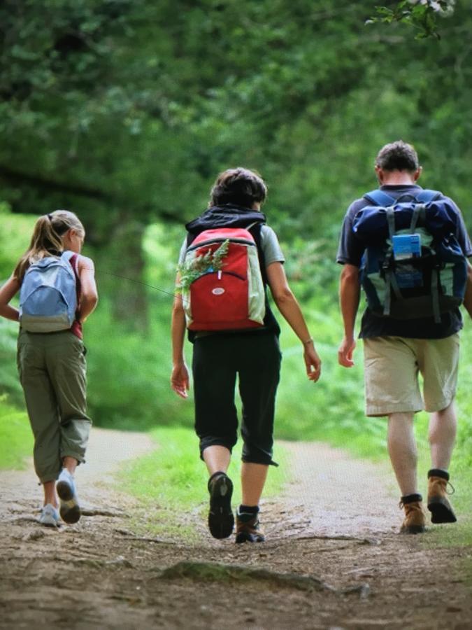 Camping Les Orangers San-Martino-di-Lota